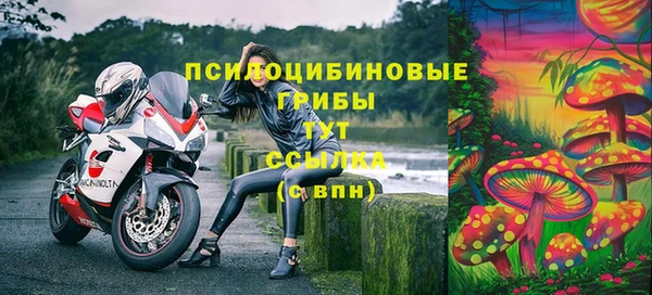 мяу мяу мука Михайловка