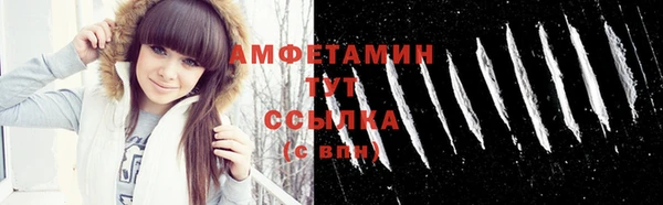 соль ск Михайлов