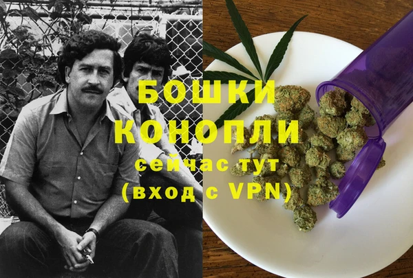соль ск Михайлов